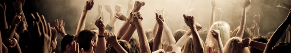 Special Event Insurance - One Day Event Insurance - Crowd with their hands up waving for music. 