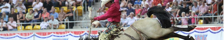 Horse Bucking at Rodeo - Special Event Insurance - One Day Event Insurance 